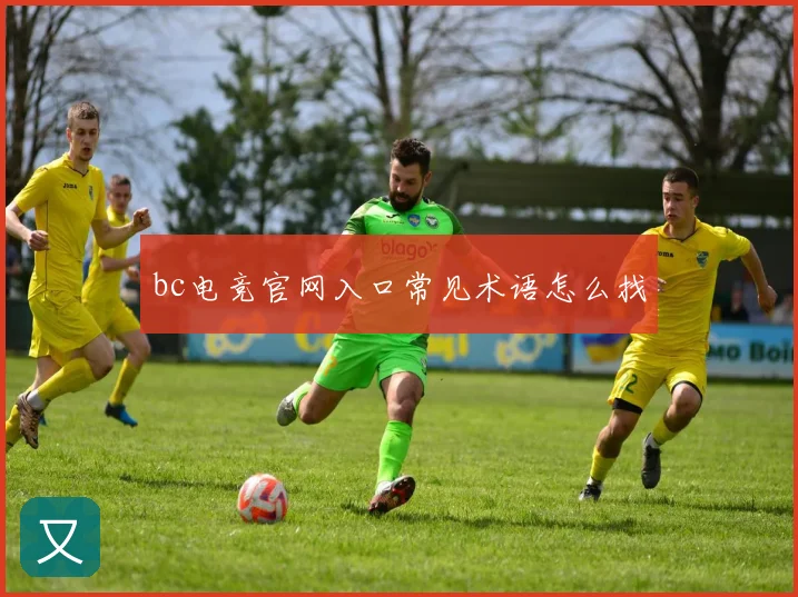 bc电竞官网入口常见术语怎么找