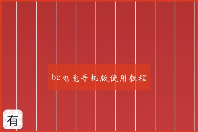 bc电竞手机版使用教程