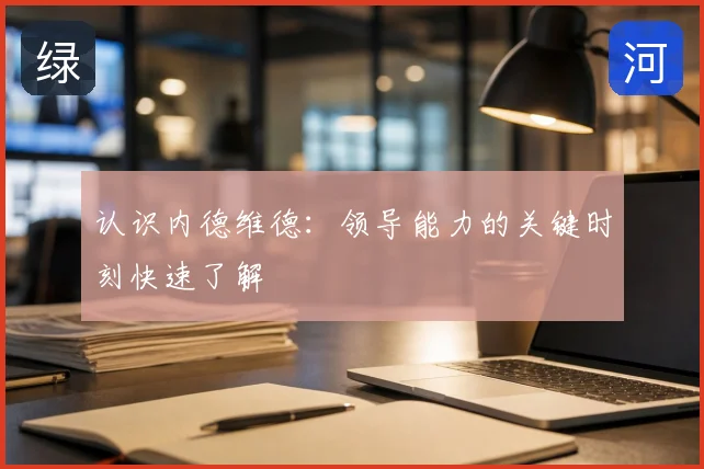 认识内德维德：领导能力的关键时刻快速了解